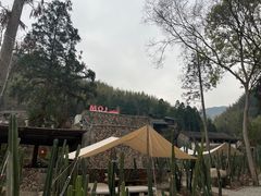 -MOJ coffee(瓯海泽雅水碓坑店)