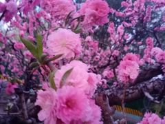 -德全心悦酒店(北京金台路地铁站店)