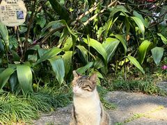 -广州兰圃