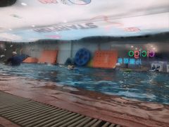 -蓝旗儿童游泳俱乐部(北国中心)