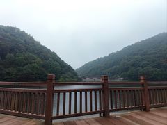 -桃花岭景区