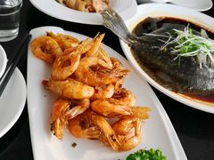 -云中小雅