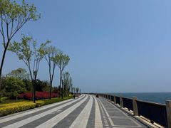 -星光岛