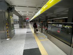 -望京西(地铁站)