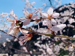 -鹫峰国家森林公园