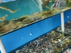 -港畔赶海蒸汽海鲜烧烤自助(仙螺岛店)