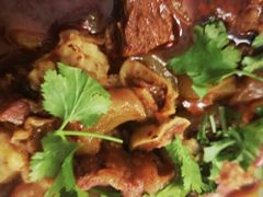 -曾牛肉