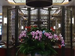 -大可堂普洱茶馆(襄阳南路馆)