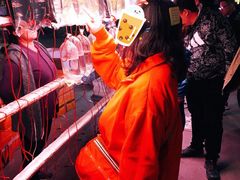 -中环花鸟鱼虫市场