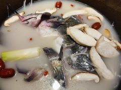 -咕嘟草帽鱼·牛奶一样的鲜鱼汤(天鹅湖万达广场店)