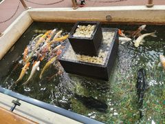 -太子园林酒家