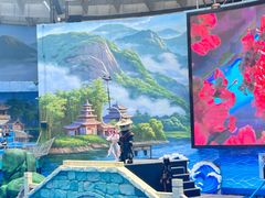 -海合安成都极地海洋公园