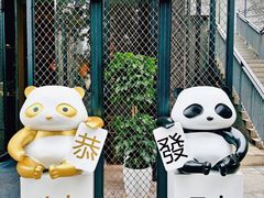 -嫩芽 ·地道重庆菜(十八梯露台夜景店)