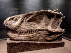 -自贡恐龙博物馆