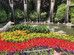 -老板恋上鱼(恒隆广场店)