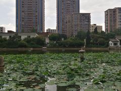 -团结湖公园