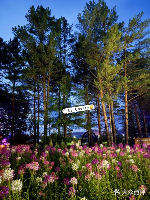 北极村旅游风景区图片