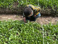 -前小桔亲子创意农场·草莓采摘·露营烧烤