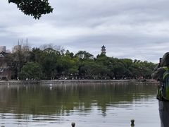 -江心屿景区