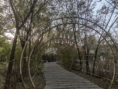 -西青郊野公园
