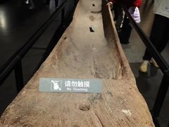-温州博物馆