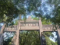 -洛阳市隋唐城遗址植物园