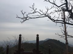 -杭州半山国家森林公园