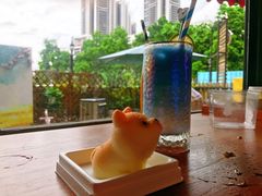 -柴犬高等学院·狗咖·柴犬售卖·宠物训练