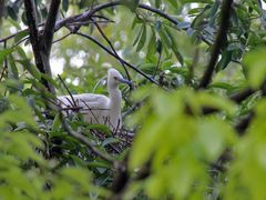 -上海市民办金苹果学校