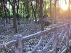 -昆山城市生态森林公园