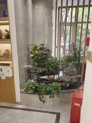 -雅曼妮spa美容养生