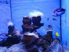 -多彩贵州城极地海洋世界