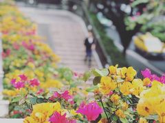 -苏坦土耳其餐厅(白云宾馆店)