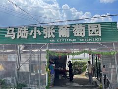 -马陆小张葡萄园农家乐