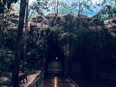 -浙江自然博物院(杭州馆)