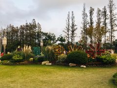 -上海长兴岛郊野公园