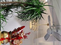 店内布置-堂屋糖水店(愚园店)