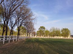 -北京群众马术培训基地