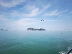 -海驴岛(荣成市)
