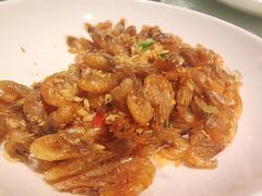 -侨美·唐荔园·40年地道粤菜