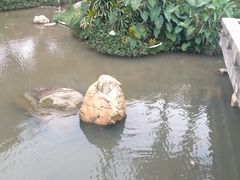 -中山市树木园