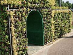 -羊亭河湿地公园