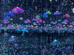-深圳独角兽星空艺术馆