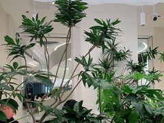 -大树餐厅(朝阳大悦城店)