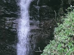 -长谷洞天