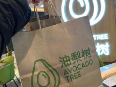 -油梨树AVOCADO TREE(嘉里中心店)