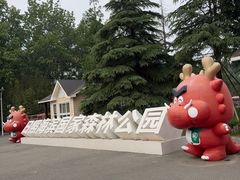 -日照海滨国家森林公园