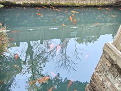 -墨池公园