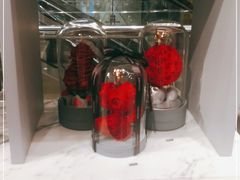 -ROSEONLY诺誓(国际广场购物中心店)