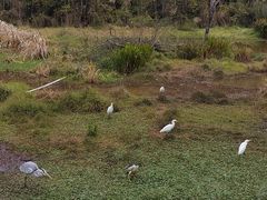 -普洱太阳河森林公园